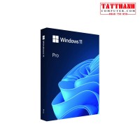 Windows 11 Pro FPP 64-bit Eng Intl USB (HAV-00163)